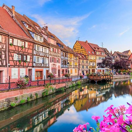 Appartement Avec Terrasse Entre Vignes, Balades, Alsace 게브윌러 외부 사진