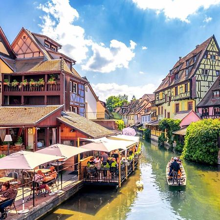 Appartement Avec Terrasse Entre Vignes, Balades, Alsace 게브윌러 외부 사진