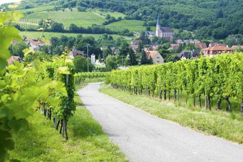 Appartement Avec Terrasse Entre Vignes, Balades, Alsace 게브윌러 외부 사진
