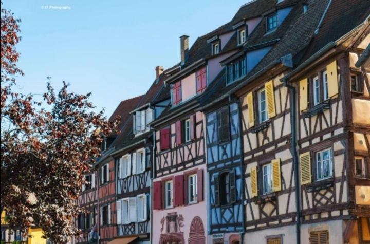Appartement Avec Terrasse Entre Vignes, Balades, Alsace 게브윌러 외부 사진