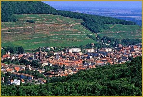 Appartement Avec Terrasse Entre Vignes, Balades, Alsace 게브윌러 외부 사진